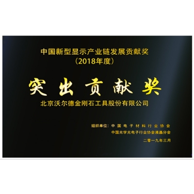 中國新型顯示產(chǎn)業(yè)鏈發(fā)展突出貢獻(xiàn)獎